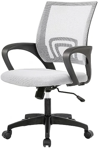 Home Office Desk Chair — Smart Chairs, PayLessHere