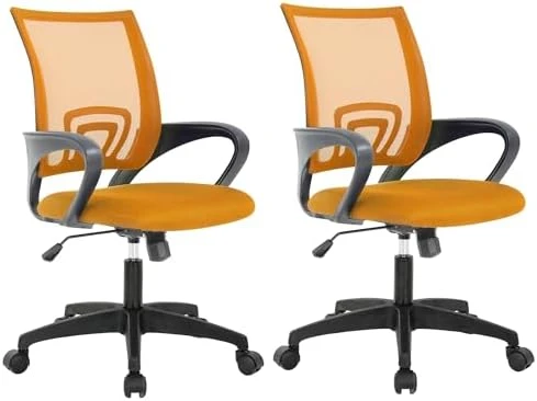 Home Office Desk Chair — Smart Chairs, PayLessHere