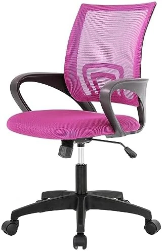 Home Office Desk Chair — Smart Chairs, PayLessHere