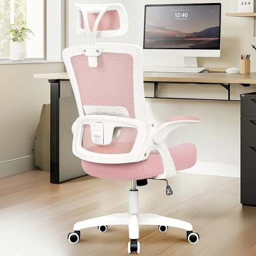Office Desk Chair with Ergonomic Headrest and Lumbar Support — Smart Chairs, NEO CHAIR