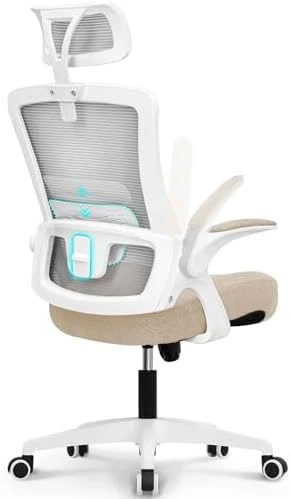 Office Desk Chair with Ergonomic Headrest and Lumbar Support — Smart Chairs, NEO CHAIR