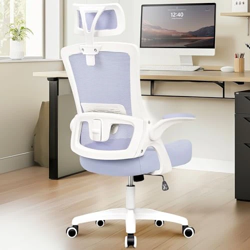 Office Desk Chair with Ergonomic Headrest and Lumbar Support — Smart Chairs, NEO CHAIR