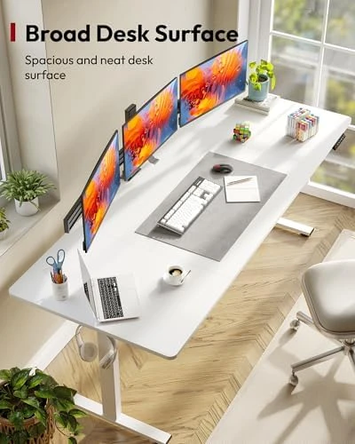 Electric Standing Desk 79 x 32 Inches — Standing Desk, SANODESK