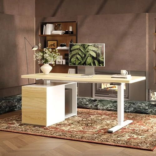 Executive Standing Desk with Drawers & CPU Holder — Standing Desk, FLEXISPOT