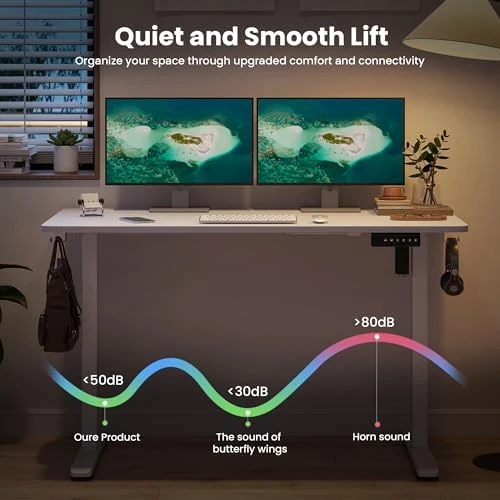 48 x 24 inches Electric Standing Desk — Standing Desk, Casaphoria