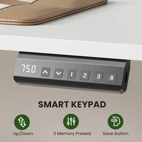 48 x 24 inches Electric Standing Desk — Standing Desk, Casaphoria