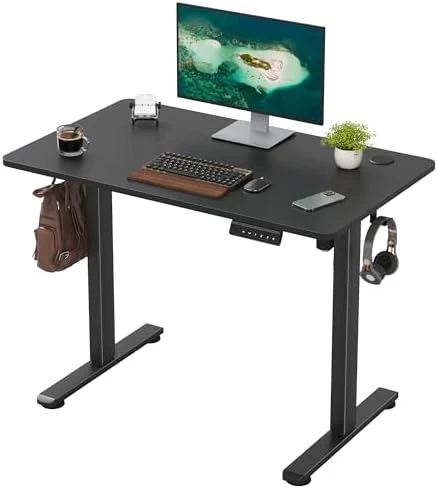 48 x 24 inches Electric Standing Desk — Standing Desk, Casaphoria