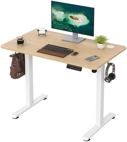 48 x 24 inches Electric Standing Desk — Standing Desk, Casaphoria