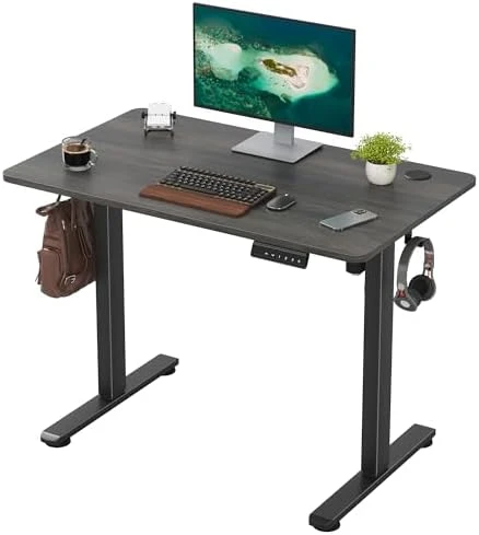 48 x 24 inches Electric Standing Desk — Standing Desk, Casaphoria