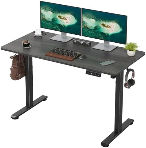 48 x 24 inches Electric Standing Desk — Standing Desk, Casaphoria