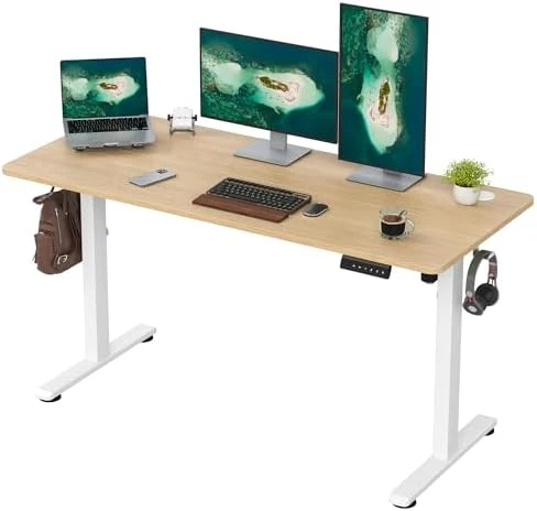 48 x 24 inches Electric Standing Desk — Standing Desk, Casaphoria