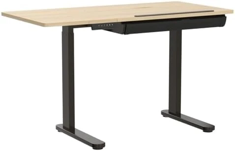 Electric Drafting Table Adjustable Height 47.2"x23.6" Standing Drawing Desk Extendable Top Craft Workstation with... — Standing Desk, FLEXISPOT