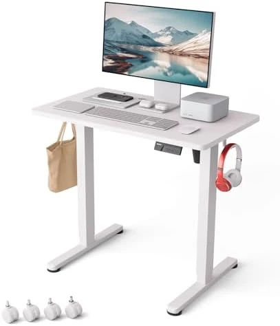 Large Standing Desk with Dual Monitor Setup — Standing Desk, Monomi