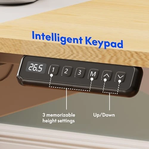 4-Leg Standing Desk with Storage — Standing Desk, FLEXISPOT