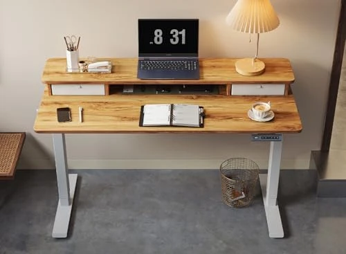 40 x 24 Inch Height Adjustable Electric Standing Desk with Double Drawer — Standing Desk, FEZIBO