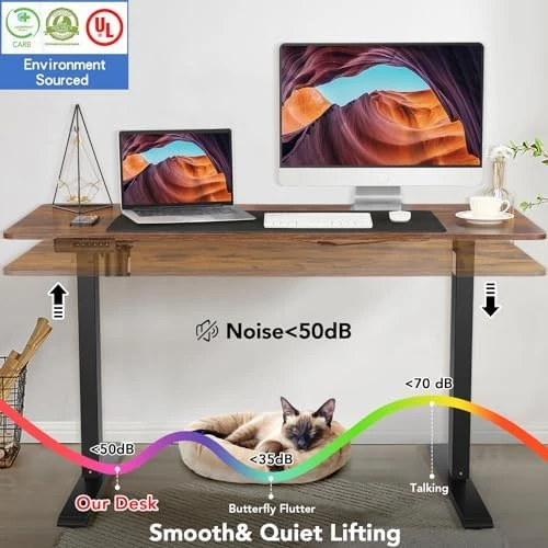 48 x 24 inch Electric Standing Desk with Charging Station — Standing Desk, farexon