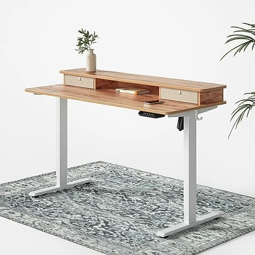 48 x 24 Inch Height Adjustable Electric Standing Desk with Double Drawer and Storage Shelf — Standing Desk, FEZIBO