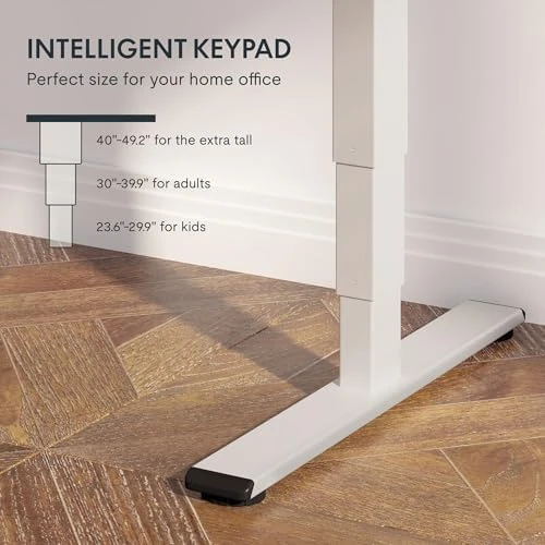 Dual Motor Electric Desk Frame — Standing Desk, FLEXISPOT