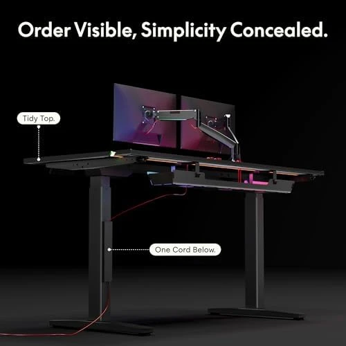 Electric RGB Gaming Standing Desk — Standing Desk, FLEXISPOT