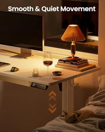 Electric Standing Desk with Drawers — Standing Desk, ErGear