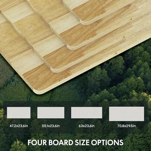 Solid Wood Dual Motor Standing Desk — Standing Desk, FLEXISPOT
