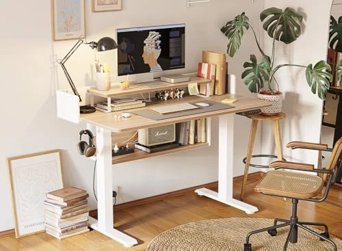 48 x 24 Inch Height Adjustable Electric Standing Desk with Double Drawer — Standing Desk, FEZIBO