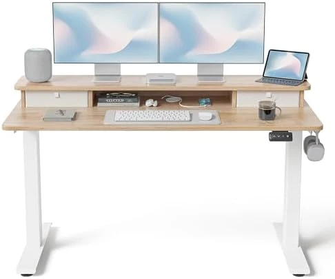 48 x 24 Inch Height Adjustable Electric Standing Desk with Double Drawer — Standing Desk, FEZIBO