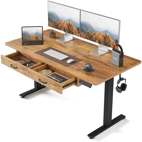 48 x 24 Inch Height Adjustable Electric Standing Desk with Double Drawer — Standing Desk, FEZIBO