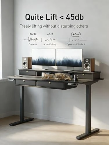 48" x 24" Standing Desk with Drawers, Height Adjustable Electric Workstation, Computer Sit Stand Up Table with Large... — Standing Desk, CubiCubi