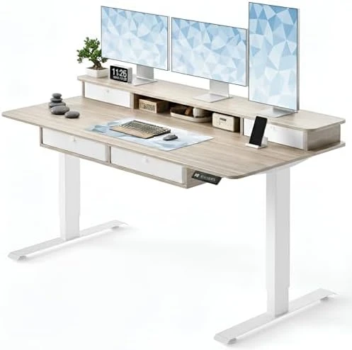 48" x 24" Standing Desk with Drawers, Height Adjustable Electric Workstation, Computer Sit Stand Up Table with Large... — Standing Desk, CubiCubi