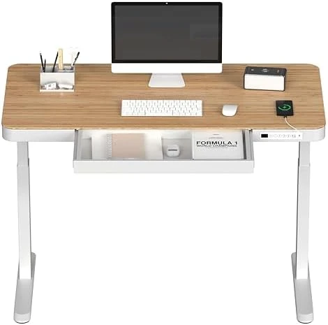 55" Bamboo Standing Desk, Dual Motor 3 Stages Adjustable Height Electric Computer Workstation with Wireless Charging,... — Standing Desk, FLEXISPOT