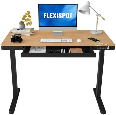 55" Bamboo Standing Desk, Dual Motor 3 Stages Adjustable Height Electric Computer Workstation with Wireless Charging,... — Standing Desk, FLEXISPOT