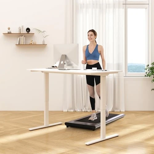 Dual Motor Electric Standing Desk 48 x 24 — Standing Desk, FLEXISPOT