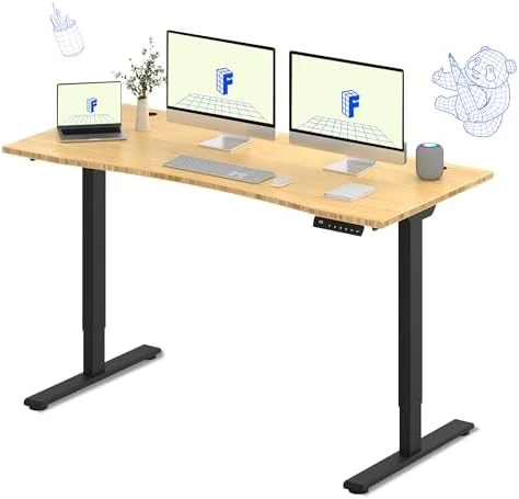 Dual Motor Electric Standing Desk 48 x 24 — Standing Desk, FLEXISPOT