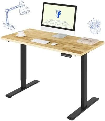 Dual Motor Electric Standing Desk 48 x 24 — Standing Desk, FLEXISPOT
