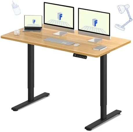 Dual Motor Electric Standing Desk 48 x 24 — Standing Desk, FLEXISPOT