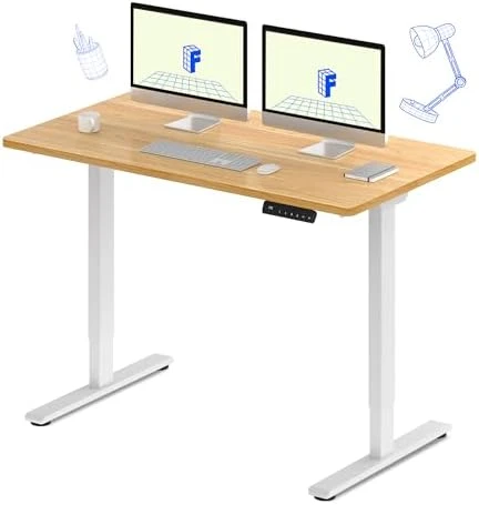 Dual Motor Electric Standing Desk 48 x 24 — Standing Desk, FLEXISPOT