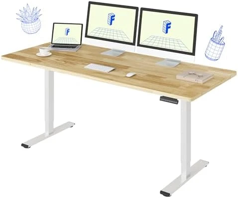 Dual Motor Electric Standing Desk 48 x 24 — Standing Desk, FLEXISPOT