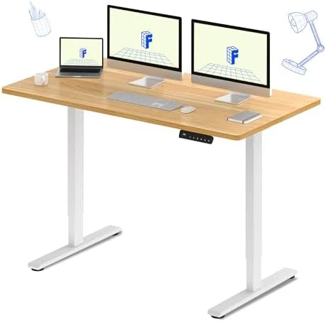 Dual Motor Electric Standing Desk 48 x 24 — Standing Desk, FLEXISPOT