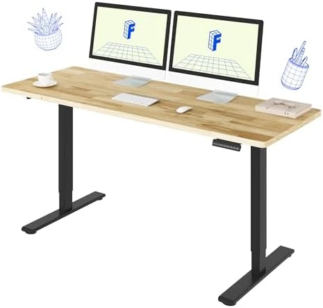 Dual Motor Electric Standing Desk 48 x 24 — Standing Desk, FLEXISPOT