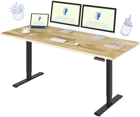 Dual Motor Electric Standing Desk 48 x 24 — Standing Desk, FLEXISPOT