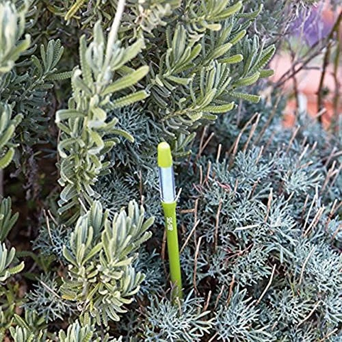 Aquameter Plant Moisture Sensor (Set of 2) — Soil Moisture Sensor, Sustee