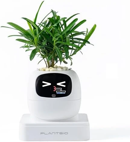 Ivy Interactive AI Desk Companion — Robot Pet, PLANTSIO