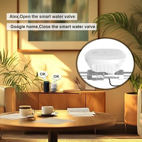 Smart Water Valve — Water Shut Off Valve, FRANKEVER