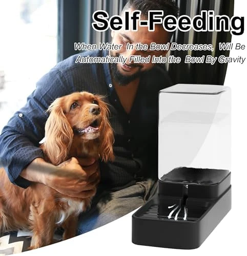 Automatic Cat Feeder and Water Dispenser Set with Pet Food Bowl — Automatic Pet Feeder, Wefeedy