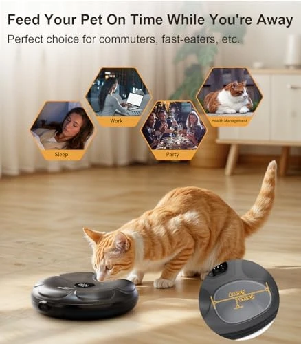 Automatic Cat Feeder Cordless — Automatic Pet Feeder, Casfuy
