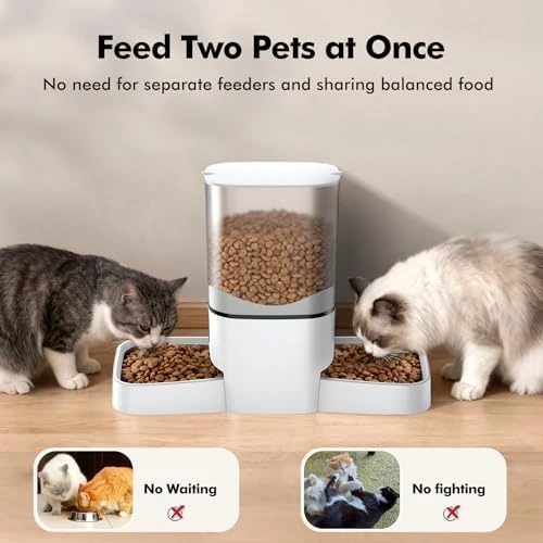 Automatic Cat Feeder for 2 Cats — Automatic Pet Feeder, MRSDAYU