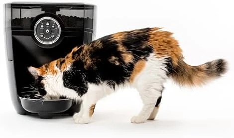 Feeder-Robot Smart Automatic Pet Feeder — Automatic Pet Feeder, Whisker
