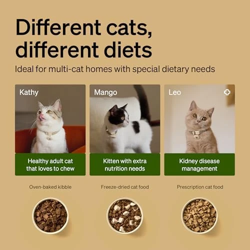 RFID Automatic Cat Feeder — Automatic Pet Feeder, PETLIBRO