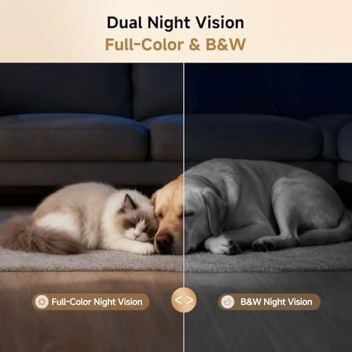 AI Pet Camera Robot Companion — Robot Pet, PICKFUN